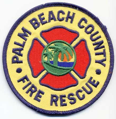Palm Beach County - Distintivo giallo con al centro palme